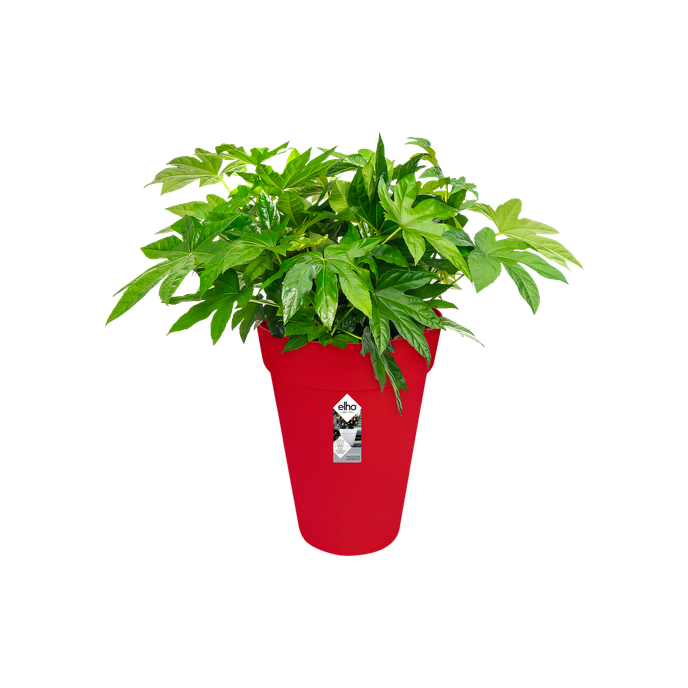 loft urban round high 35cm cranberry red